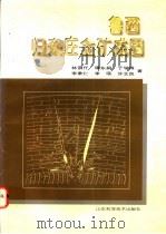 鲁西归来庄金矿成因 1997 PDF电子版封面 7533119495 林景仟等著