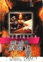 灵魂的边界 外国思想者随笔经典 1996 PDF电子版封面 7222020152 王家新,汪剑钊主编
