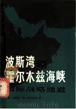 波斯湾和霍尔木兹海峡 国际战略通道 1982 PDF电子版封面 3003·1645 (美)拉马扎尼(R.K. Ramazani)著;赵祥龄,段稚