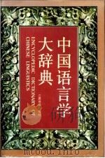 中国语言学大辞典 1991 PDF电子版封面 7539208112 陈海洋主编