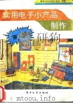 实用电子小产品制作 第2辑 1995 PDF电子版封面 7505318586 香港《无线电制作》杂志供稿