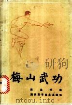 梅山武功 1987 PDF电子版封面 7535701035 陈益球编