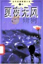 夏夜无风 1998 PDF电子版封面 7501417067 王正平著