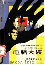 电脑大盗 1989 PDF电子版封面 7505305220 (瑞典)斯滕郝根著;高锋译