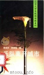 乐队离开城市 1991 PDF电子版封面 7805704899 黄祖民,韩国强编
