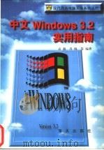 中文Windows 3.2实用指南 1996 PDF电子版封面 7806154876 袁源,肖晓等编著