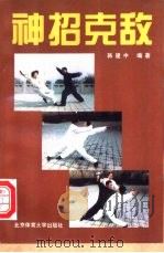 神招克敌 1995 PDF电子版封面 7810039202 韩建中编著
