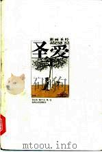 圣爱 新画圣经 1998 PDF电子版封面 7531319454 韦尔乔绘;小风文