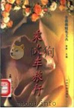 乘火车旅行 1995 PDF电子版封面 7800748847 王安忆著