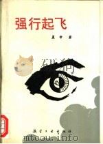 强行起飞 1991 PDF电子版封面 7800463591 晨希著
