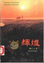 辉煌   1996  PDF电子版封面  7530622811  东方著 