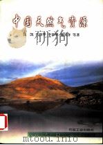中国天然气资源 1999 PDF电子版封面 7502127674 钱凯等著