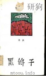 黑鸽子 1990 PDF电子版封面 7506303310 孙泱著