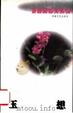 玉想 1996 PDF电子版封面 7540415886 张晓风著