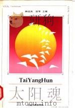 太阳魂 1993 PDF电子版封面 7563603190 林世洪,张军主编