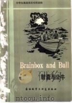 智囊与公牛 1983 PDF电子版封面 9215·206 凯尼恩(Kenyon,M.)原著;琼斯(Jones,L.)简