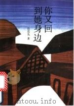 你又回到她身边 1991 PDF电子版封面 7503302690 伍近先著