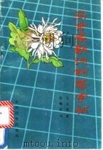 马金星歌词钢笔字帖（1990 PDF版）