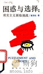 困惑与选择 现实主义面临挑战 1988 PDF电子版封面 750650457X 黄国柱著
