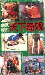 幽默绘画天下奇观 1991 PDF电子版封面 7532413071 陈舜华等编绘