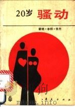 20岁骚动 1989 PDF电子版封面 7800536068 霍晓等著