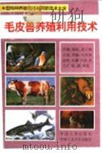 毛皮兽养殖利用技术 1994 PDF电子版封面 7800765318 刘恕主编;王彩华,房广珍,高桂芳编著