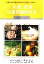 花果、蔬菜快速繁殖新技术 1996 PDF电子版封面 7800768341 李慎英编著