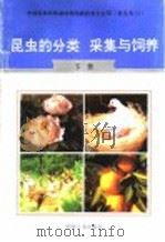 昆虫的分类、采集与饲养 下 1996 PDF电子版封面 7800768341 徐宗佑主编;李作龙,李弢编著