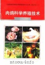 肉鸽科学养殖技术 1996 PDF电子版封面 7800768341 姜家佑编著