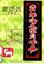 青年语文学习手册（1992 PDF版）