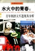 水火中的青春:青年烟酒大军透视及分析 1993 PDF电子版封面 7508001532 尹正茂著
