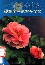 硬笔字一笔写千文字   1992  PDF电子版封面  7535405738  冷凌编 