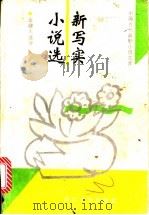 新写实小说选 1993 PDF电子版封面 7533905601 金健人选评