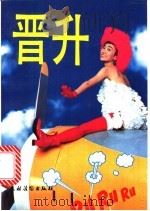 晋升 1993 PDF电子版封面 7504822221 岱凌主编