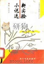 新实验小说选 1993 PDF电子版封面 7533905709 盛子潮选评