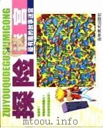 探险迷宫（ PDF版）