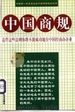 中国商规 1999 PDF电子版封面 7801005597 陈企华等编著