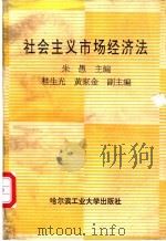 社会主义市场经济法   1993  PDF电子版封面  7560306896  朱愚主编 