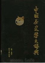 中国历史学大辞典 1992 PDF电子版封面 7563403655 赵忠文主编