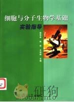 细胞与分子生物学基础实验指导 1997 PDF电子版封面 7309036360 蒋伟宏等主编