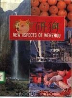 温州风貌（ PDF版）