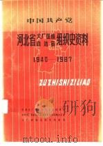 中国共产党河北省大厂回族自治县组织史资料 1940-1987 1990 PDF电子版封面 7202007843 何广印主编