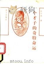 一个才子的奇特命运 长篇报告文学 1993 PDF电子版封面 7800813797 孙引南著