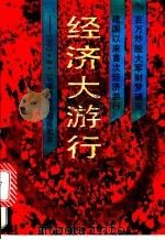 经济大游行 1992.8.10深圳股市骚乱纪实 1993 PDF电子版封面 7540411430 文金陈著
