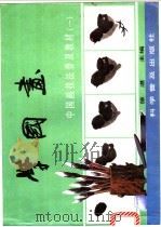 学国画 1989 PDF电子版封面 7110010686 徐湛主编