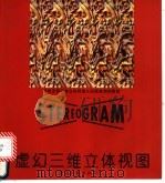 虚幻三维立体视图（1994 PDF版）