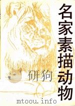 名家素描动物 1991 PDF电子版封面 7534002915 石焕编