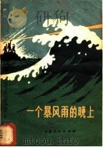 一个暴风雨的晚上 1972 PDF电子版封面 10·099·50 王安友