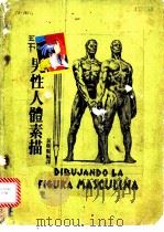 男性人体素描 1979 PDF电子版封面 黄朝顺编译
