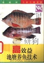 高效益池塘养鱼技术 1998 PDF电子版封面 7806195815 谢德钦编著